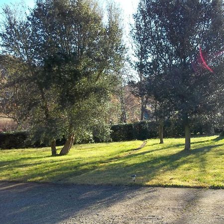 Beautiful Villa In Maremma Farnese Εξωτερικό φωτογραφία